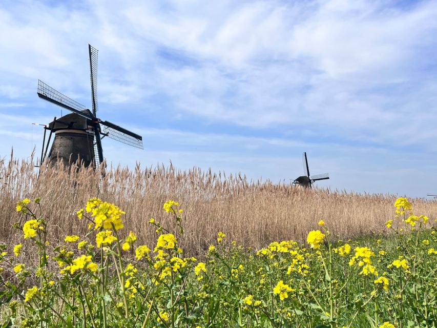 Rotterdam: Waterbus Ticket to Dordrecht And/Or Kinderdijk - Ticket Pricing and Cancellation