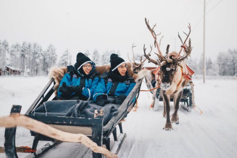 Rovaniemi: Apukka Reindeer Journey Journey In Rovaniemi