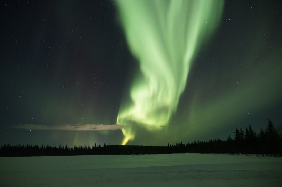 Rovaniemi: Aurora Borealis and Picnic - Overview of the Activity