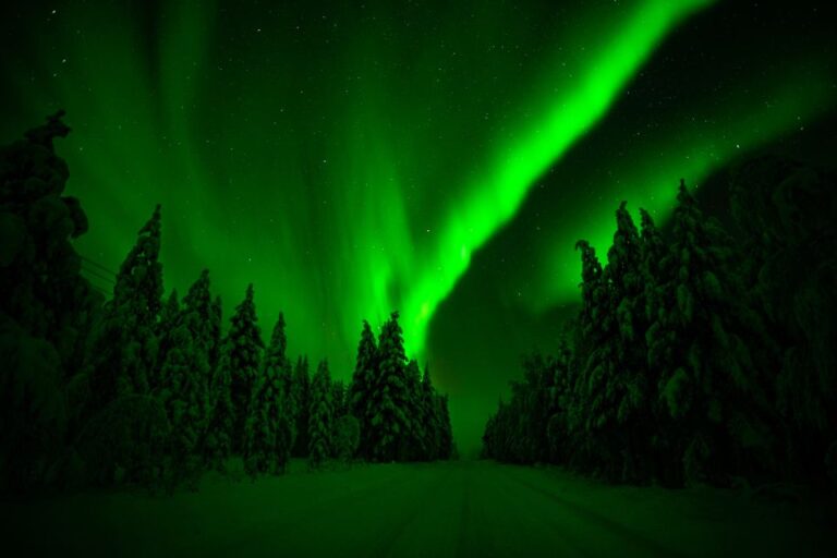 Rovaniemi: Northern Lights Snowmobile Tour Adventure Beyond The Arctic Circle