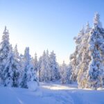 Rovaniemi: Wilderness Tour Tour Details