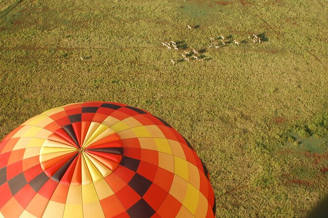 Safari Flight Meeting And Pickup Details