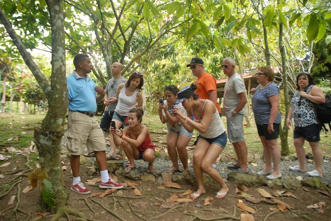 Safari Tour From Punta Cana - Tour Overview