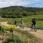 Saint Martin D'ardèche: Electric Bike Wine Tour & Tasting Tour Details