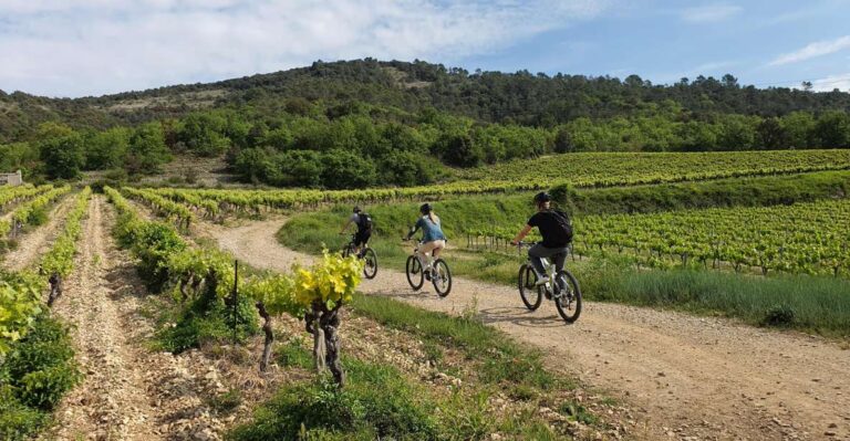 Saint Martin D'ardèche: Electric Bike Wine Tour & Tasting Tour Details