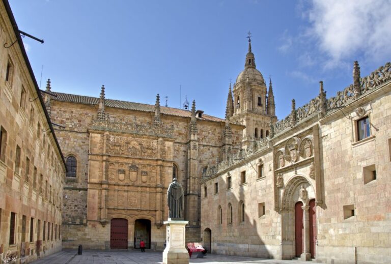 Salamanca: Miguel De Cervantes Walking Tour Tour Overview And Pricing