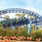 San Diego: Seaworld Skip The Line Park Admission Ticket Ticket Information And Pricing