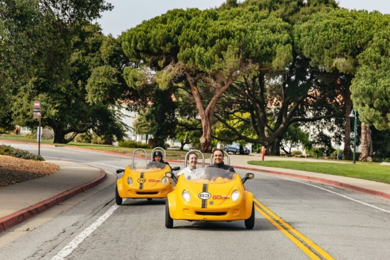 San Francisco: Golden Gate Bridge And Lombard Gocar Tour Tour Details