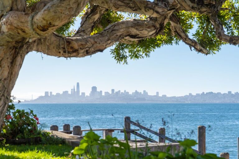 San Francisco Golden Gate Sausalito Muir Woods Private Tour Tour Highlights