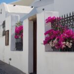 Santorini: Countryside Hidden Paths Private Tour Tour Overview