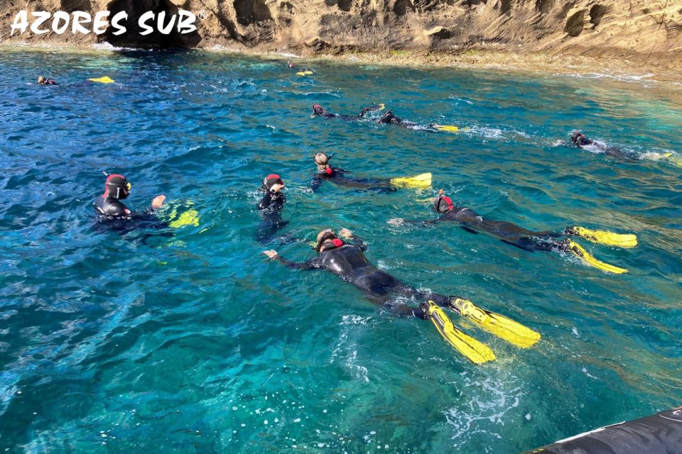 Sao Miguel: Snorkeling Around Vila Franca Do Campo - Activity Overview