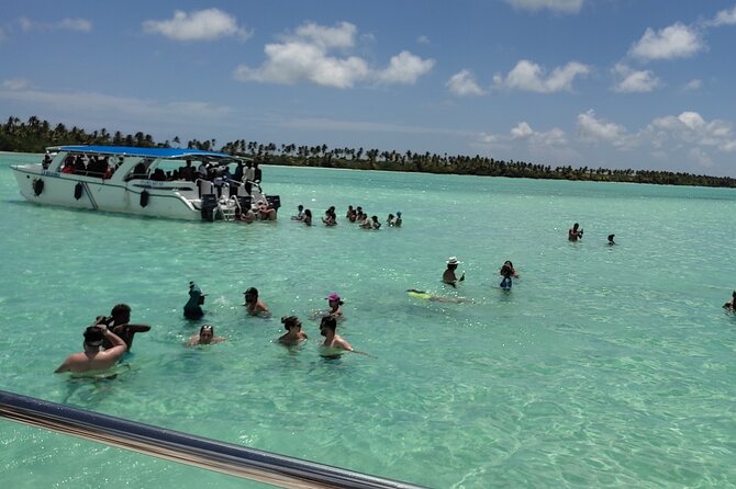 Saona Island Full Day From Punta Cana - Overview of the Tour