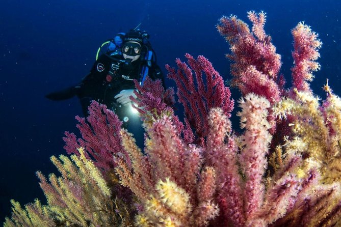 Scuba Diving In Calabria, Italy Breathtaking Calabrian Coastline