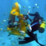 Scuba Doo Underwater Scooter In Punta Cana (half Day) Included In The Experience