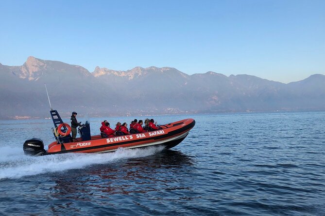 Sea Safari Tour From Vancouver Tour Overview