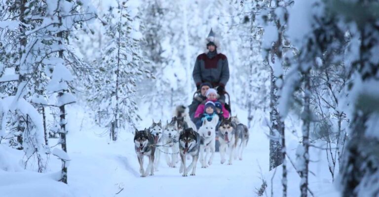 Self Driven 5km Husky Sleig Ride Adventure Activity Overview