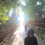 Serene Cycling In Arashiyama: Tour Review Tour Overview