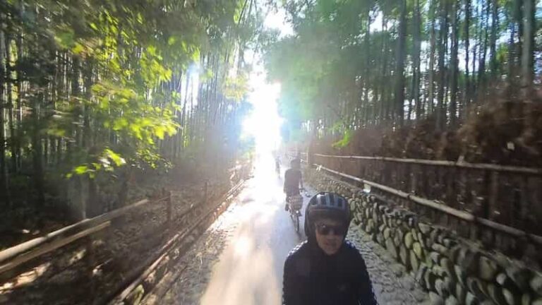 Serene Cycling In Arashiyama: Tour Review Tour Overview