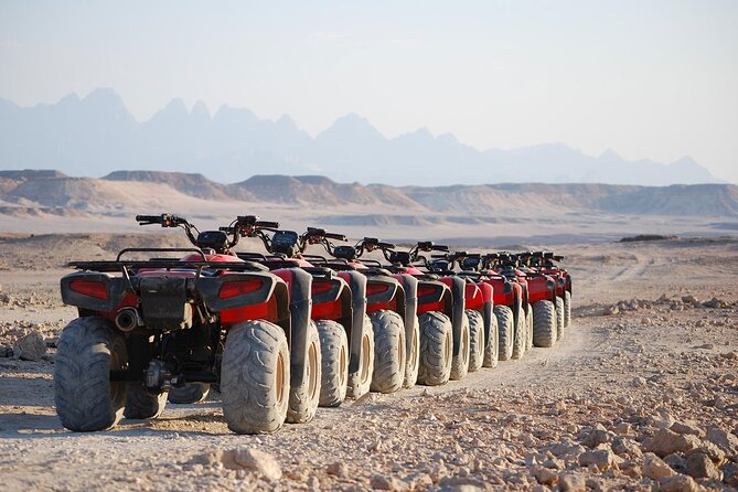 Sharm El Sheikh Super Safari 5*1 ATV Quad, Stargazing,Camel Ride,Dinner, Shows - Serene Camel Riding