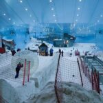 Ski Dubai Admission Ticket With Optional Transfer Overview Of Ski Dubai Activities