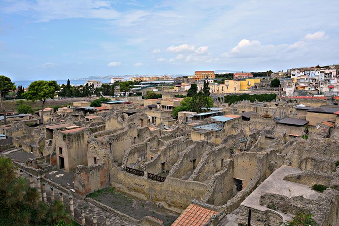 Skip the Line Herculaneum Ruins Ticket - Highlights of the Site