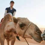 Small Group Guided Red Dune Safari In Quad Bikes With Bbq Dinner Overview Of The Experience