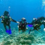 Small Group Introductory Scuba Diving In Pula Overview Of The Experience