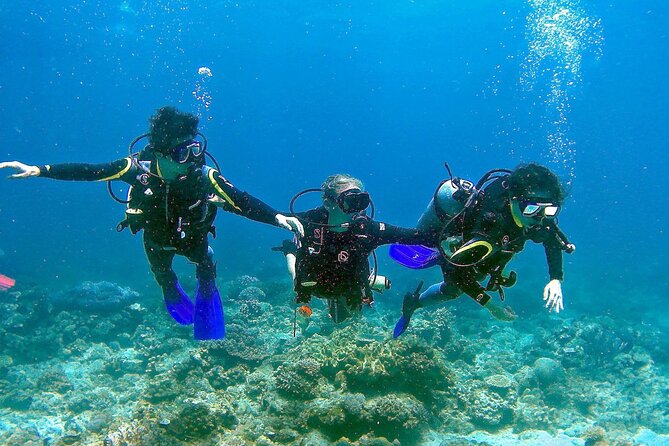 Small-Group Introductory Scuba Diving in Pula - Overview of the Experience