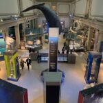 Smithsonian National Museum Of Natural History Guided Tour Overview And Pricing