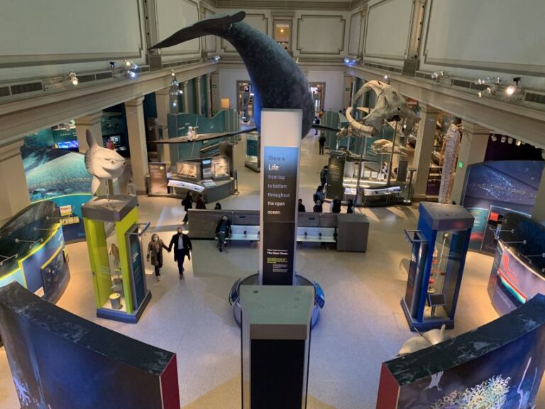 Smithsonian National Museum Of Natural History Guided Tour Overview And Pricing