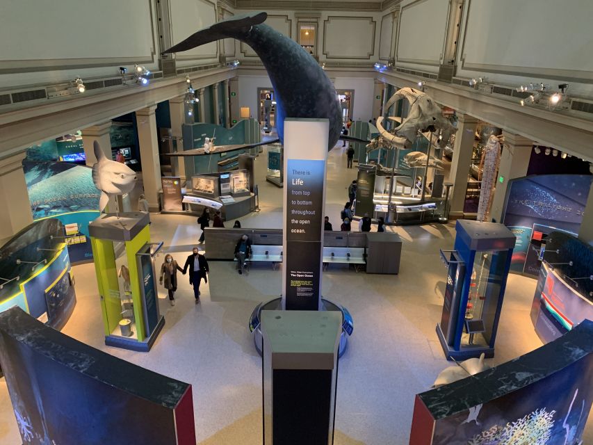 Smithsonian National Museum of Natural History Guided Tour - Overview and Pricing