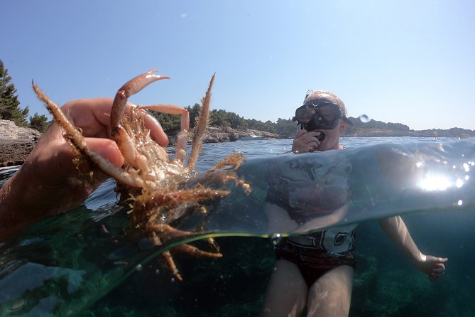 Snorkeling Adventure | Pula Boat Overview Of The Adventure