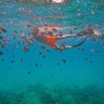 Snorkeling With Turtles In Fujairah With Transfer & Bbq Lunch Tour Overview