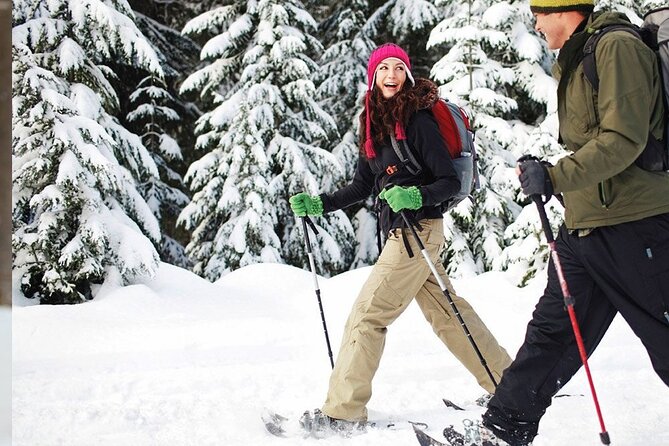 Snowshoeing In Kananaskis Embarking On The Adventure