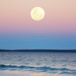 Sotogrande: Full Moon On The Sea 2 Hours Experience Overview