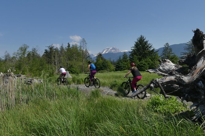 Squamish Discovery Eco-tour - Tour Overview