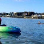 St. Augustine: Deluxe Dolphin Watching Kayak Tour Itinerary And Experience