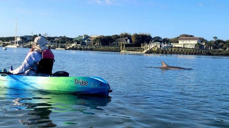 St. Augustine: Deluxe Dolphin Watching Kayak Tour Itinerary And Experience