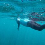 Stand Up Paddle And Snorkeling Tour Of Gran Canaria With Transfers South Area Paddle And Snorkel Experience