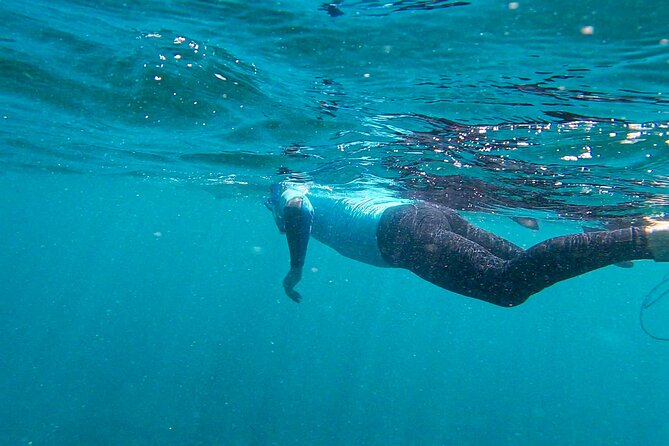 Stand Up Paddle And Snorkeling Tour Of Gran Canaria With Transfers South Area Paddle And Snorkel Experience