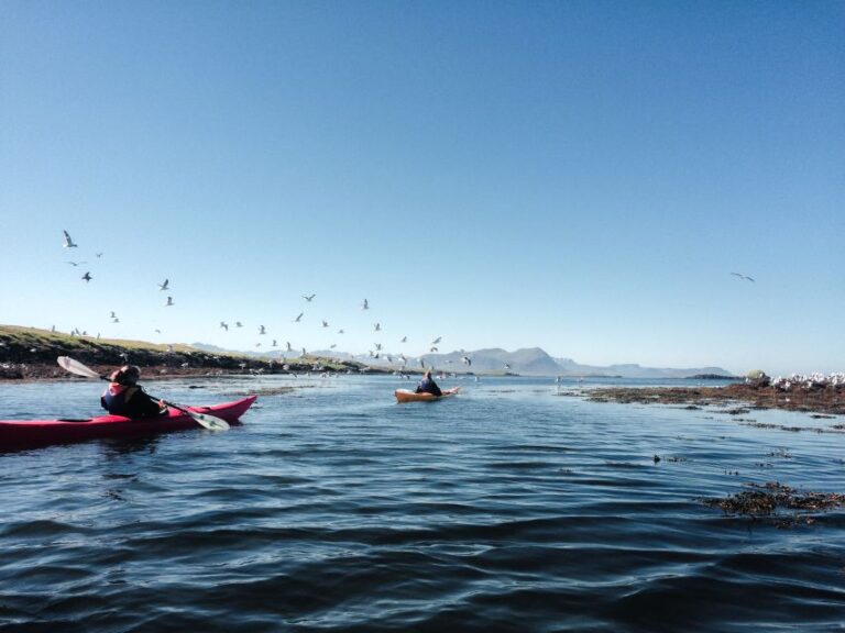 Stykkishólmur: 2 Hour Sea Kayak Tour Tour Overview