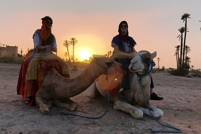 Sunset Camel Ride Tour in Marrakech Palm Grove - Overview of the Tour