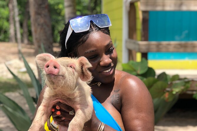 Swimming Pigs Beach Day+snorkeling Bundle (lunch+tropical Drinks) Amenities Provided