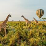 Tanzania Through The Rift Valley 5 Days Tour Overview