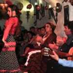 Tapas & Flamenco Private Tour Tapas, Wine & Flamenco Show Tour Description