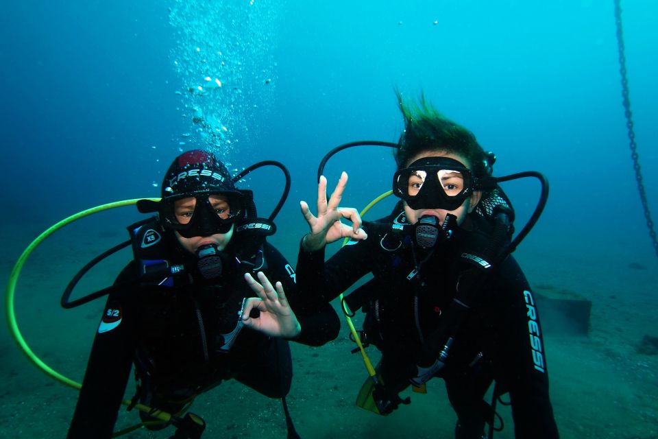 Tenerife: Discover Scuba Diving With Free Photos - Overview of Scuba Diving Experience