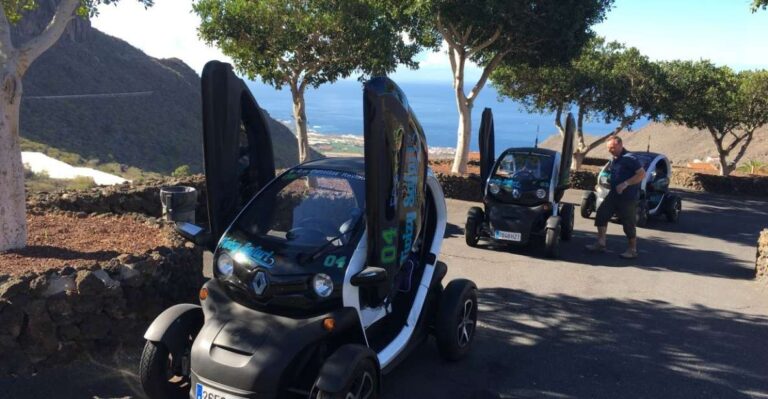 Tenerife: Private Renault Twizy Tour Tour Overview