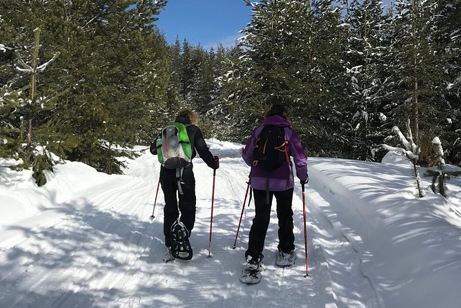 The Best Of Bansko: Magical Snowshoeing Adventure & Spa Overview Of The Tour