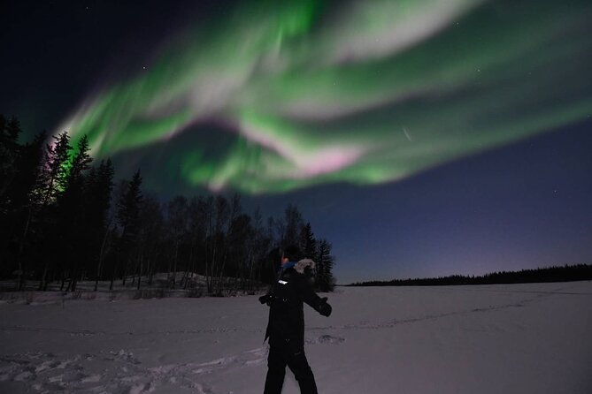 The Greatest Valuable Aurora Manor & Hunting Tour --Exclusive Tour Operator - Overview of the Tour