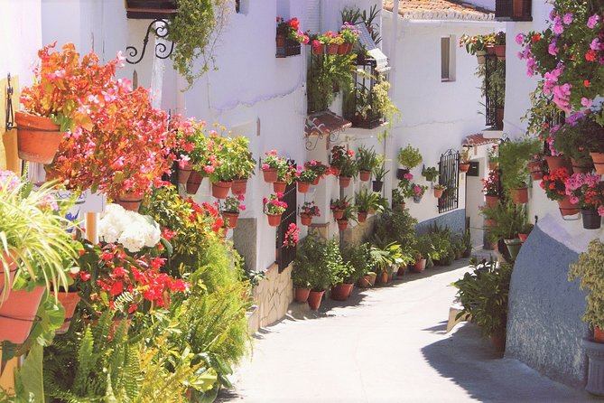 The Saltillo Gorge And White Village Hiking Tour From Malaga Tour Overview